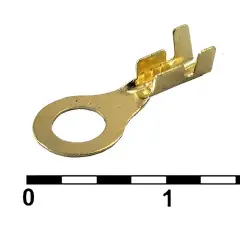 80987_1.jpg