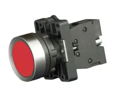 bv_1_ca42_1.jpg