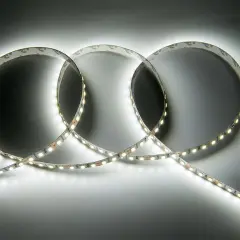 501430_1.jpg