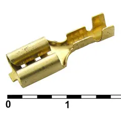 81655_1.jpg