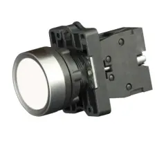 bv_1_ca15_1.jpg