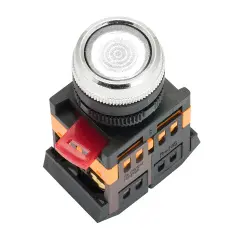 ablfs_22_1.jpg