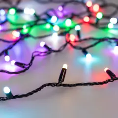 028205_1.jpg