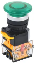 bbg30_11m_3_22_k06_1.jpg