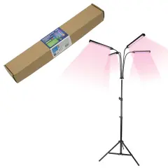 ul_00008906_1.jpg