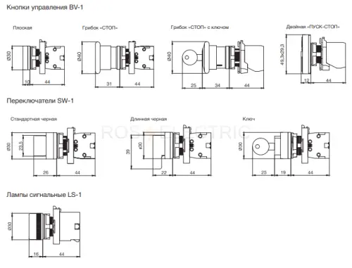 bv_1_ca15_3.jpg