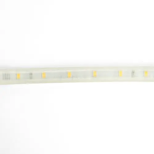 55243_2.jpg