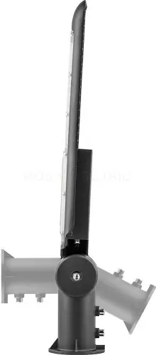 32251_5.jpg