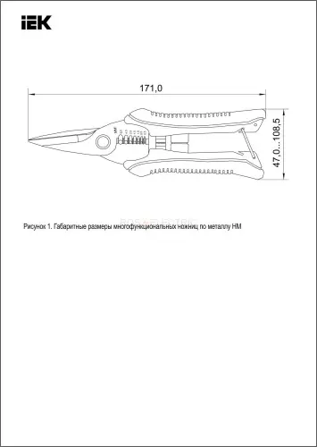tsr11_08_2.jpg