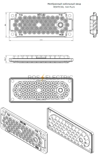 R5HTC50-gab.png