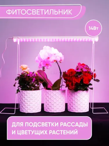 41352_3.jpg