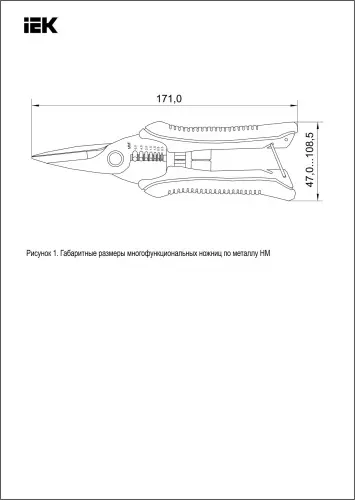 tsr11_08_2.jpg