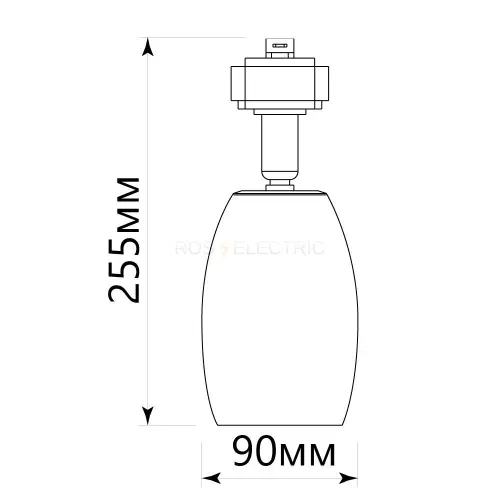 41051_3.jpg