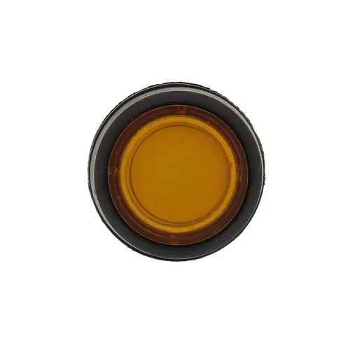 sw2c_md_y_24_3.jpg