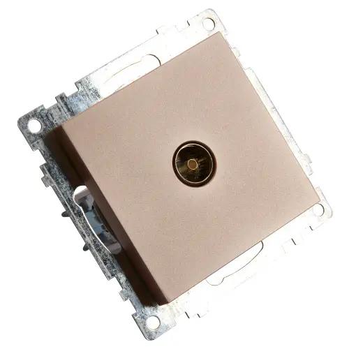 39600_5.jpg