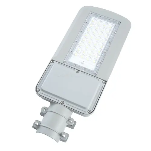 41550_3.jpg