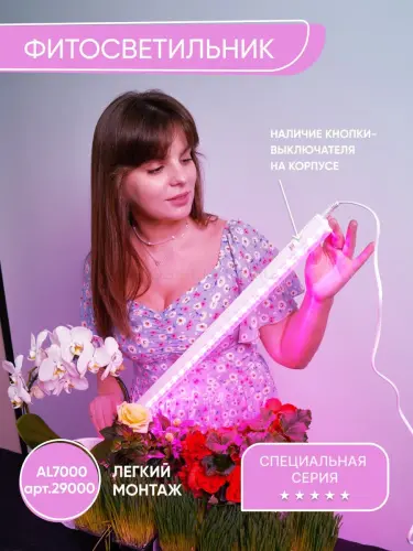 29000_4.jpg