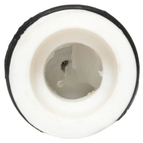 mjpt70n_3.jpg
