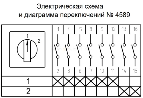 311905_2.jpg