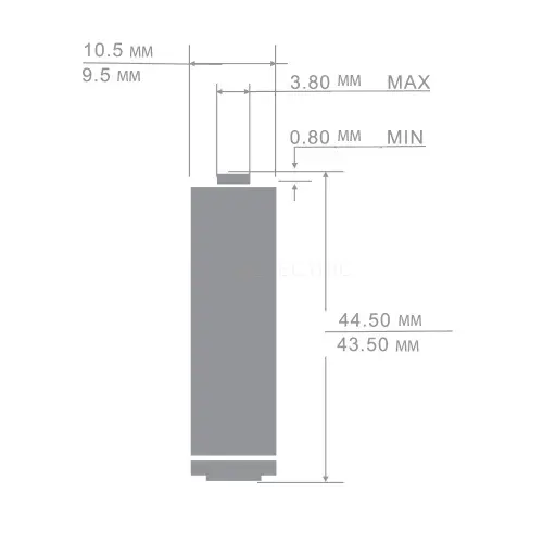 7965_2.jpg