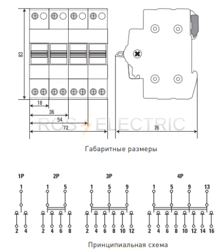 tps125_3.jpg