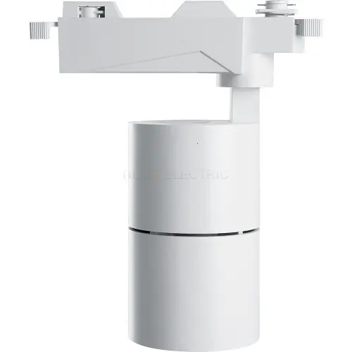 41601_3.jpg