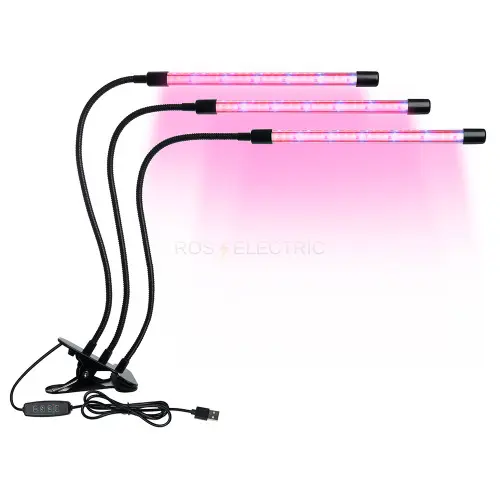 41902_3.jpg