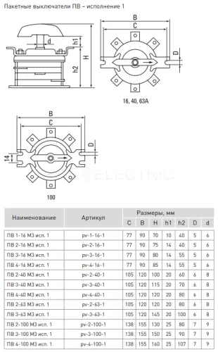 pv_4_100_1_3.jpg