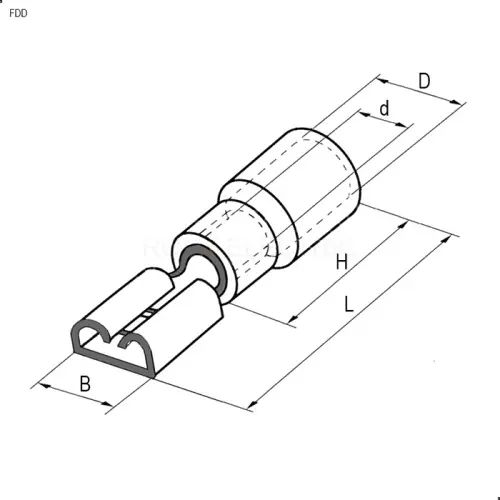 104240_2.jpg
