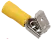 013 RpIo