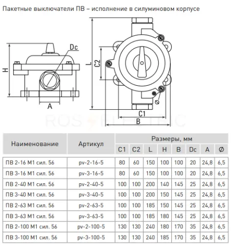 pv_3_100_5_4.jpg