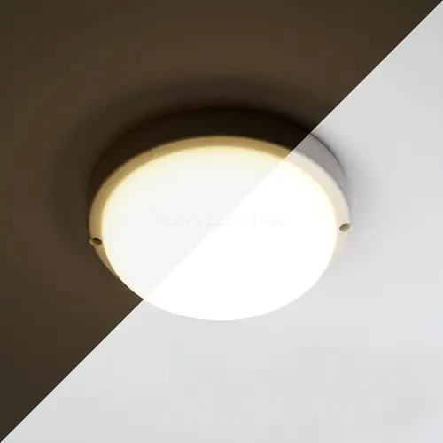 41893_4.jpg