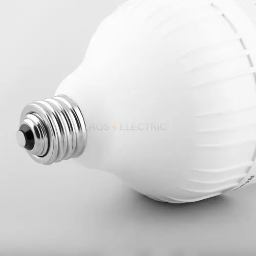 25537_4.jpg