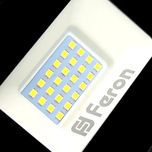 29557_5.jpg