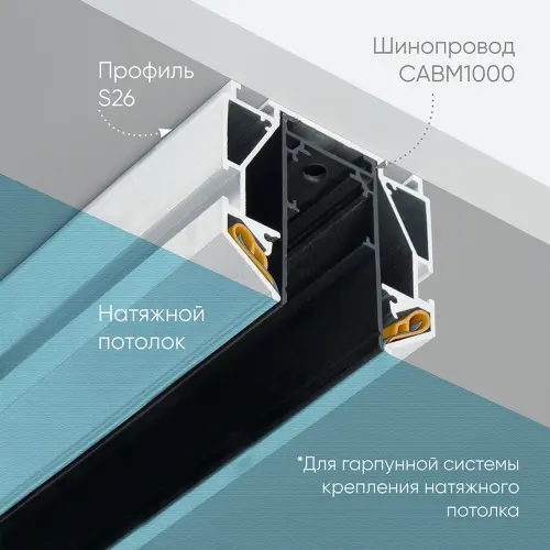 48286_5.jpg