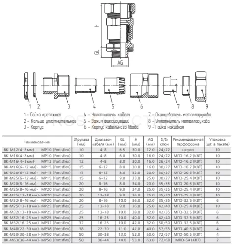89105_2.jpg