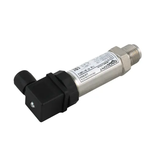 ips_10_m_2.jpg