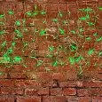 Гирлянда "Светодиодный Дождь" 2x0,8м, прозрачный провод ПВХ, 230 В, диоды Зеленые, 160 LED пост. све 235-104 NEON-NIGHT