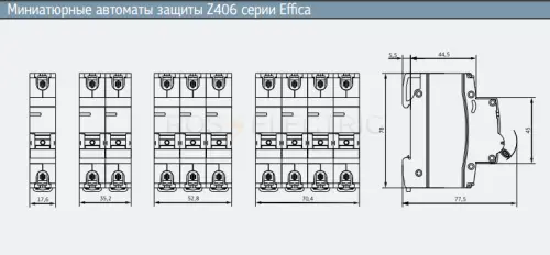 z406_1c_40_3.jpg