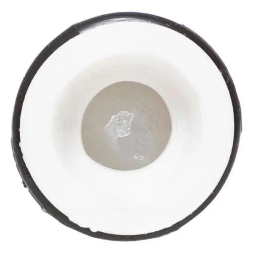 mjpt70_4.jpg