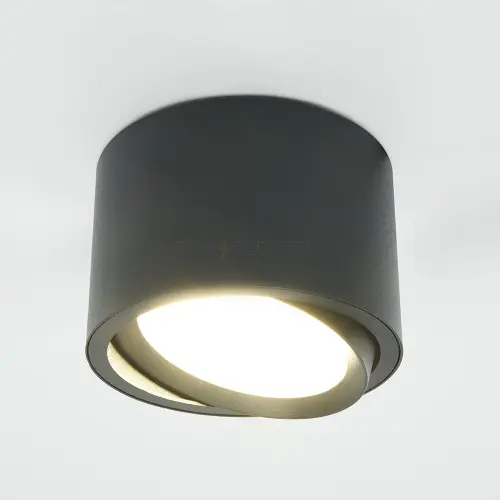 41995_3.jpg