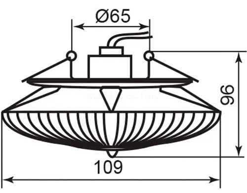 28399_3.jpg