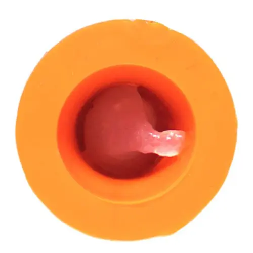 mjpb25_4.jpg