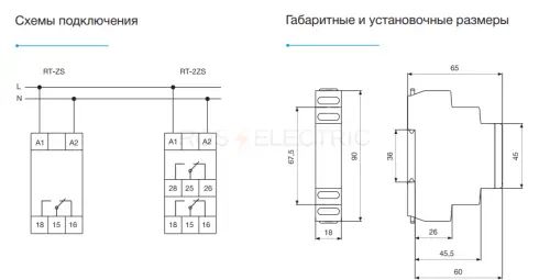 rt_zs1_10d_3.jpg