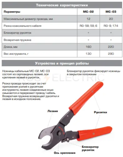 55939_2.jpg