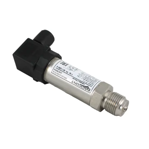 ips_10_g_3.jpg