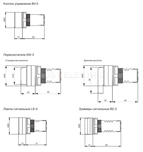 bv_3_f10g_3.jpg