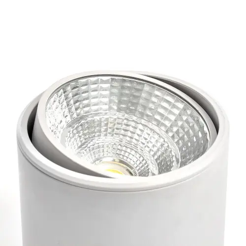 29868_5.jpg