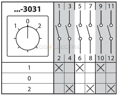 3031
