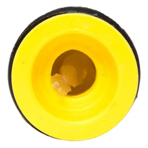 mjpt50_4.jpg